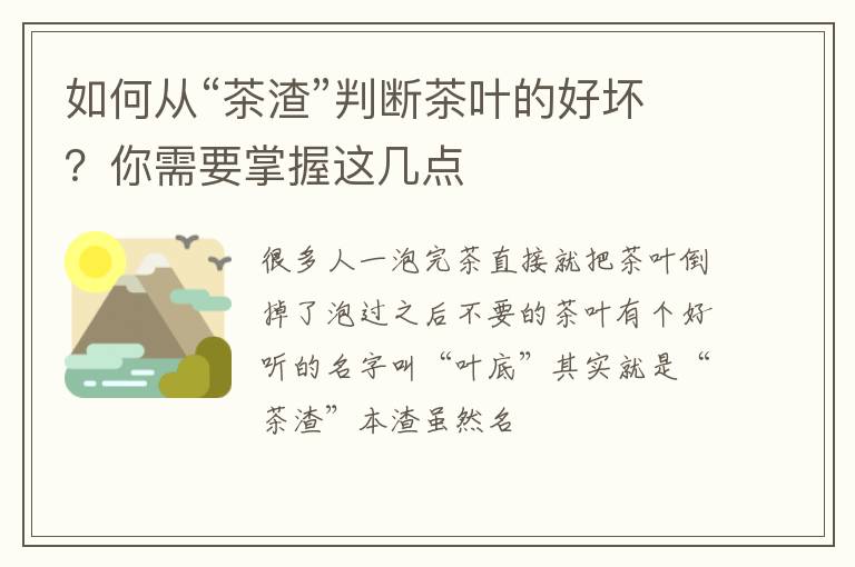 如何从“茶渣”判断茶叶的好坏？你需要掌握这几点