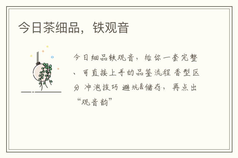 今日茶细品，铁观音