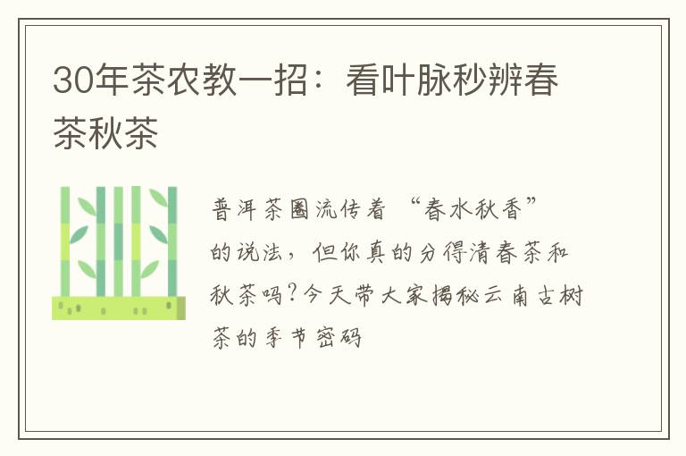 30年茶农教一招：看叶脉秒辨春茶秋茶