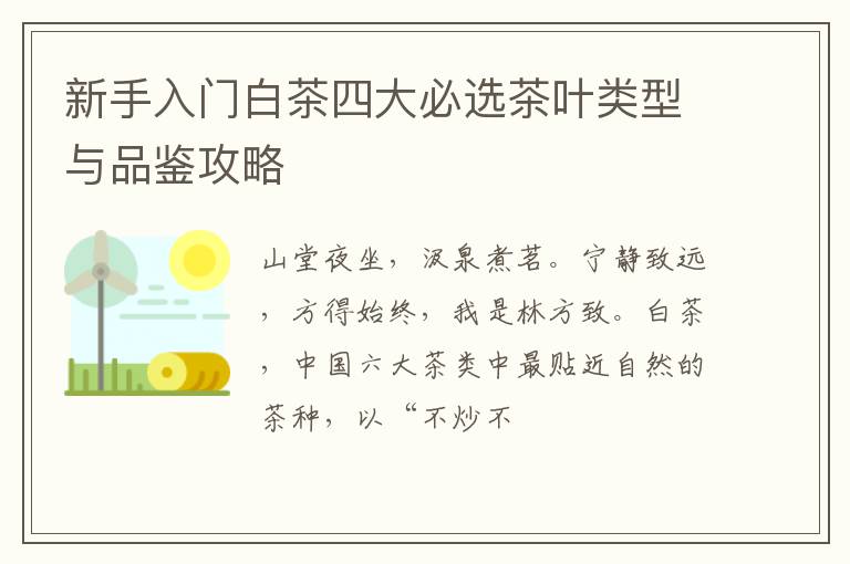 新手入门白茶四大必选茶叶类型与品鉴攻略