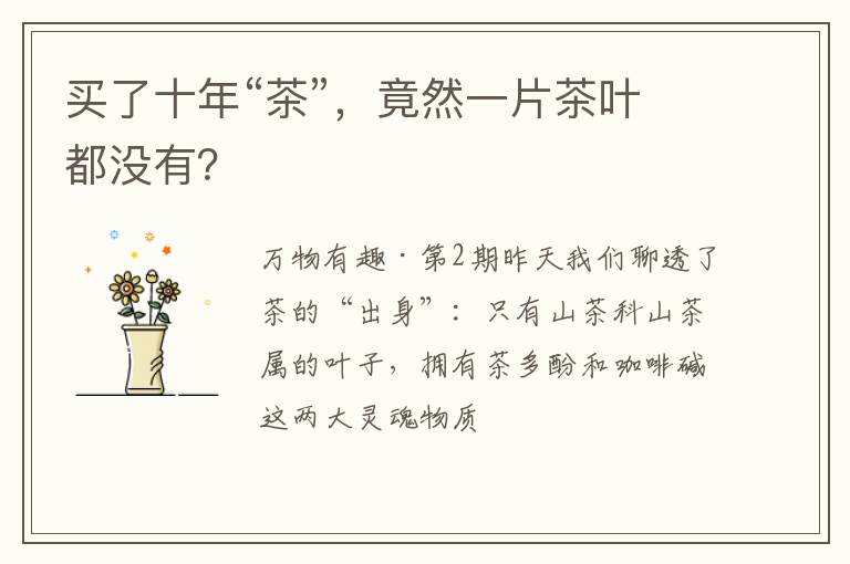 买了十年“茶”，竟然一片茶叶都没有？