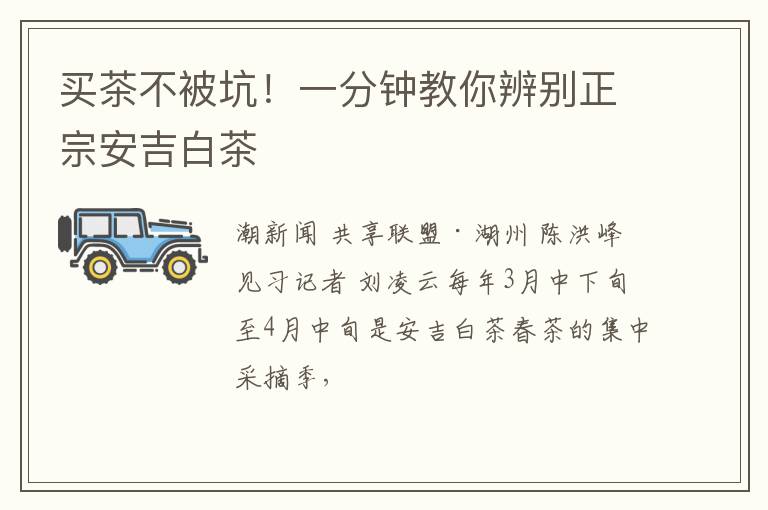 买茶不被坑！一分钟教你辨别正宗安吉白茶
