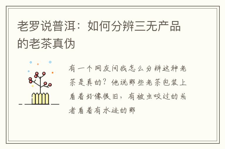 老罗说普洱：如何分辨三无产品的老茶真伪