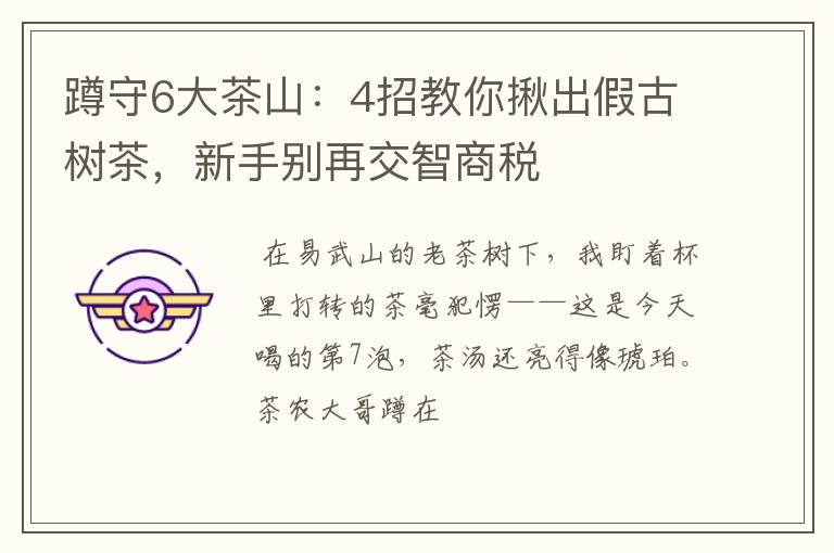 蹲守6大茶山:4招教你揪出假古树茶,新手别再交智商税