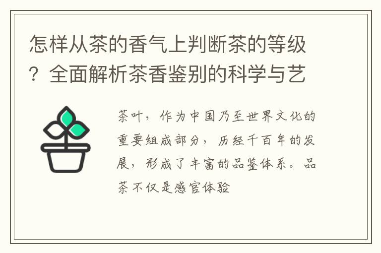 怎样从茶的香气上判断茶的等级？全面解析茶香鉴别的科学与艺术