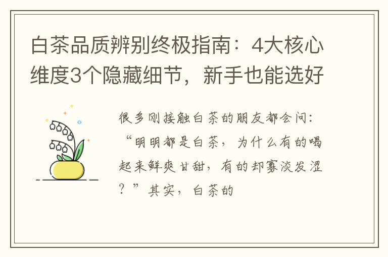 白茶品质辨别终极指南：4大核心维度3个隐藏细节，新手也能选好茶