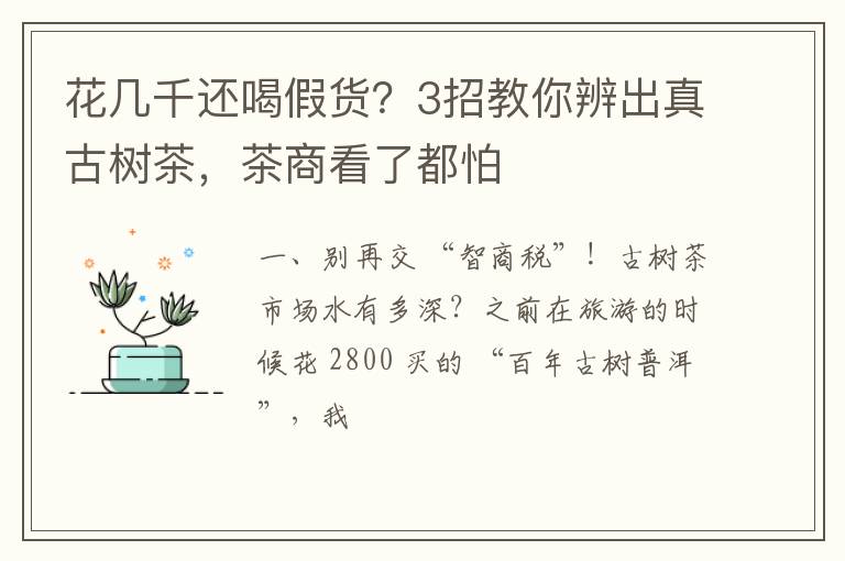 花几千还喝假货？3招教你辨出真古树茶，茶商看了都怕