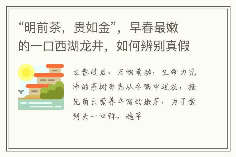 “明前茶，贵如金”，早春最嫩的一口西湖龙井，如何辨别真假？