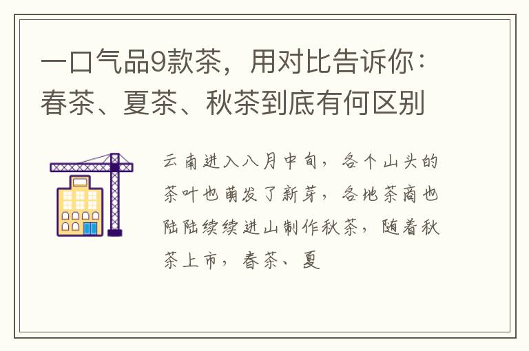 一口气品9款茶，用对比告诉你：春茶、夏茶、秋茶到底有何区别？