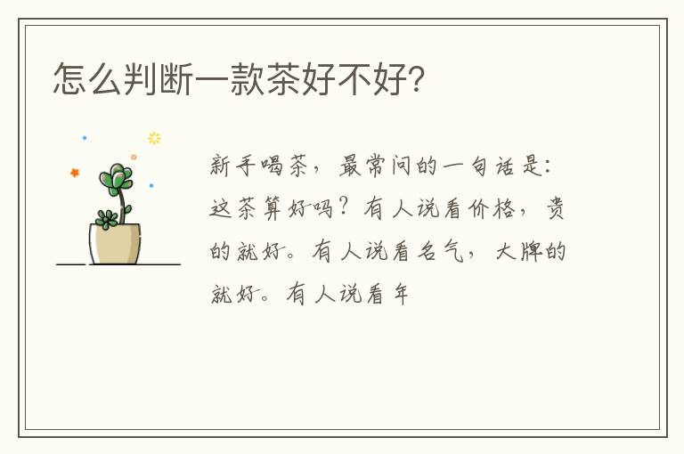 怎么判断一款茶好不好？