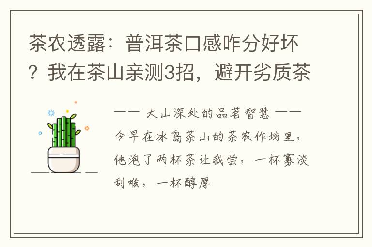 茶农透露：普洱茶口感咋分好坏？我在茶山亲测3招，避开劣质茶