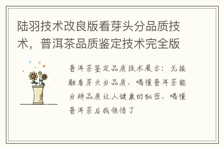 陆羽技术改良版看芽头分品质技术，普洱茶品质鉴定技术完全版