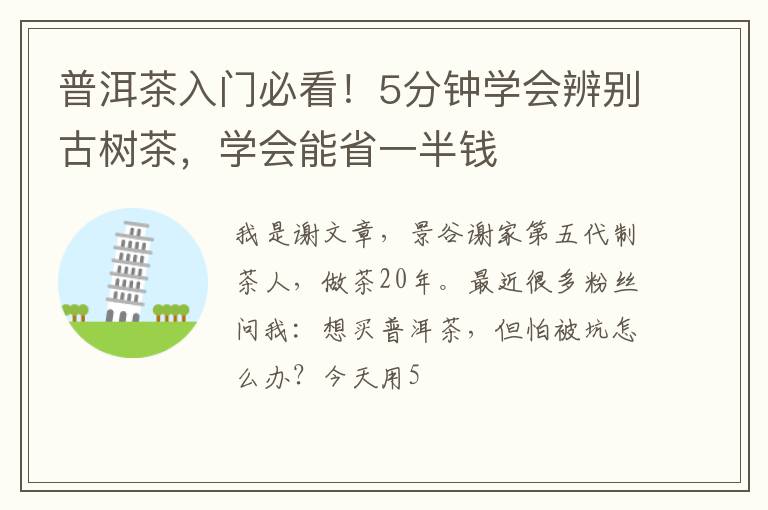 普洱茶入门必看！5分钟学会辨别古树茶，学会能省一半钱