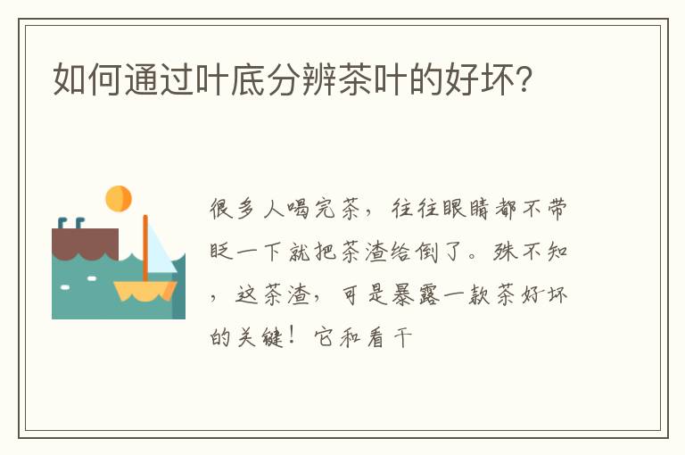 如何通过叶底分辨茶叶的好坏？