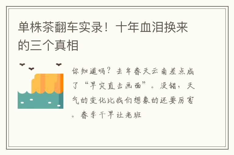 单株茶翻车实录！十年血泪换来的三个真相