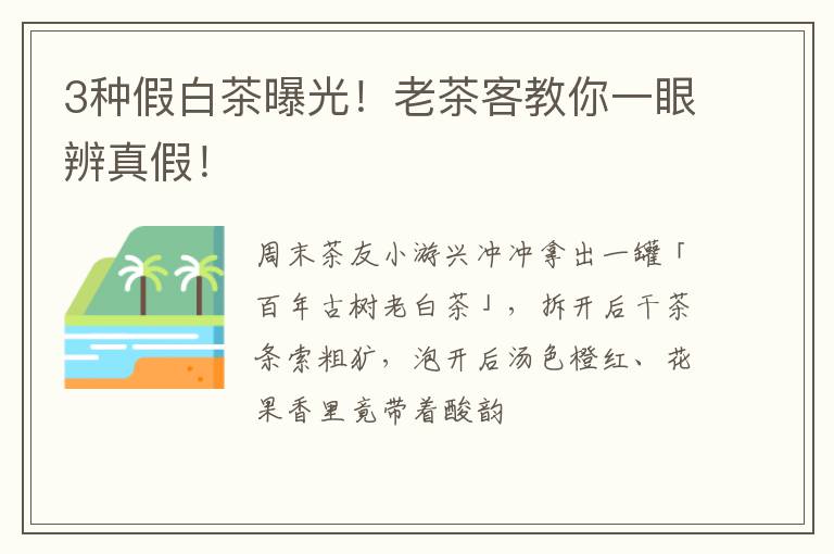 3种假白茶曝光！老茶客教你一眼辨真假！
