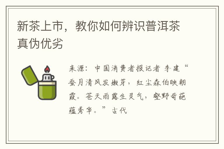 新茶上市，教你如何辨识普洱茶真伪优劣