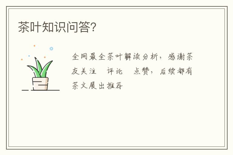 茶叶知识问答？