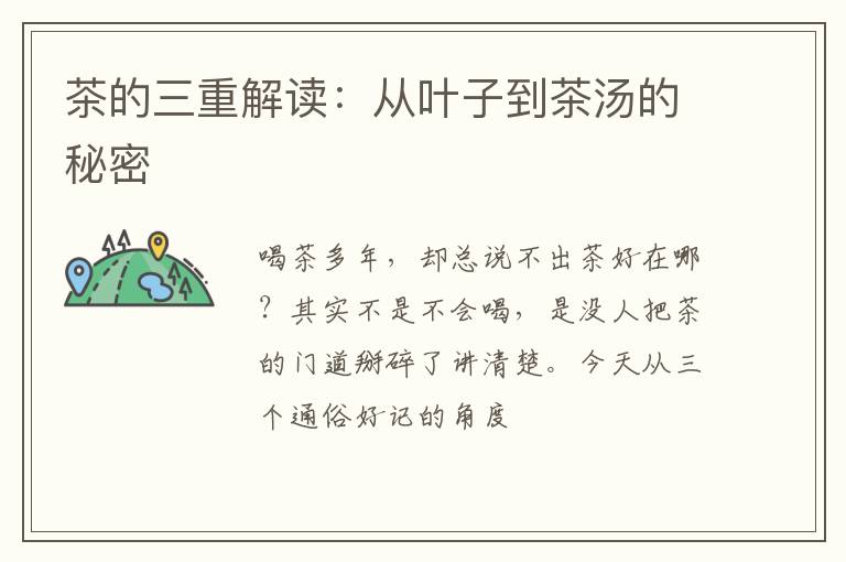 茶的三重解读：从叶子到茶汤的秘密