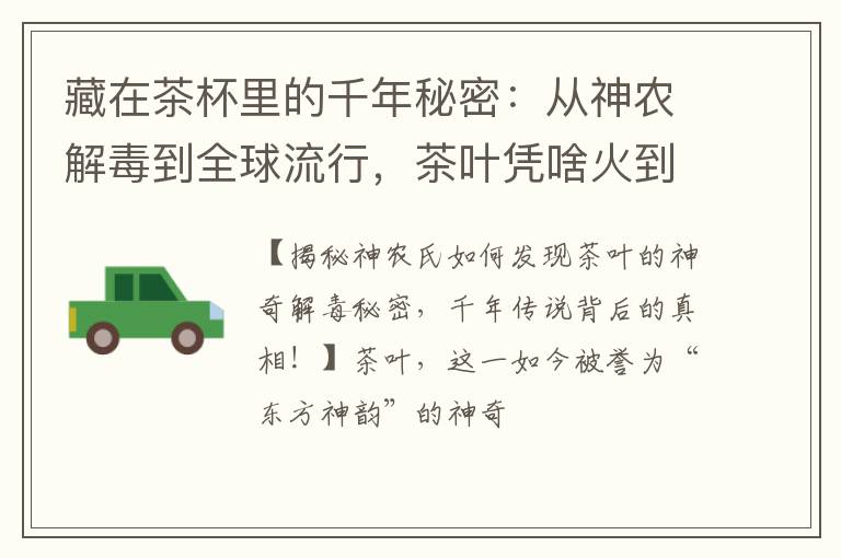 藏在茶杯里的千年秘密:从神农解毒到全球流行,茶叶凭啥火到现在