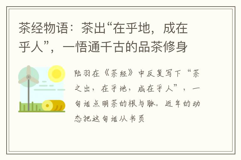 茶经物语：茶出“在乎地，成在乎人”，一悟通千古的品茶修身之道