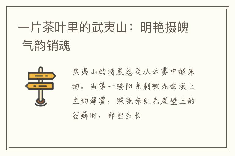一片茶叶里的武夷山：明艳摄魄 气韵销魂