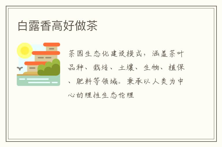 白露香高好做茶