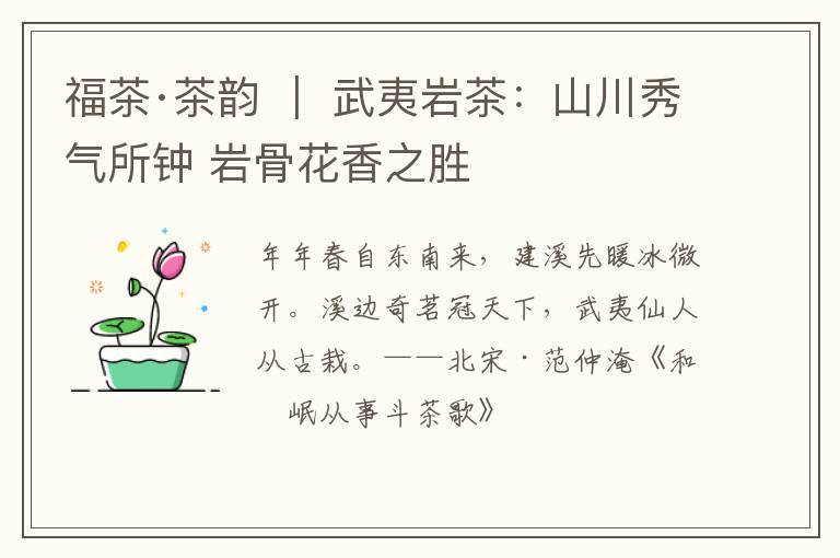福茶·茶韵 ｜ 武夷岩茶：山川秀气所钟 岩骨花香之胜