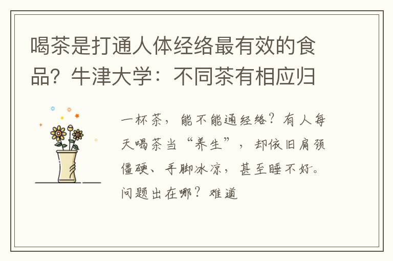 喝茶是打通人体经络最有效的食品？牛津大学：不同茶有相应归经