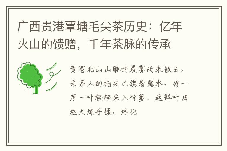 广西贵港覃塘毛尖茶历史：亿年火山的馈赠，千年茶脉的传承