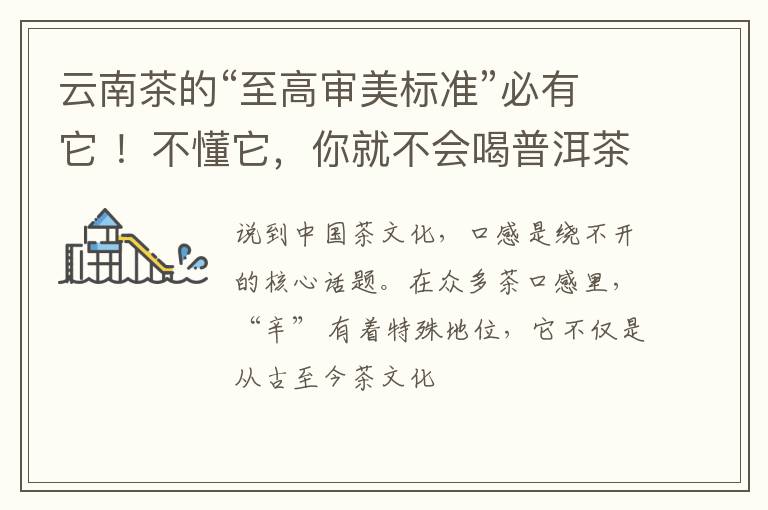 云南茶的“至高审美标准”必有它 ！不懂它，你就不会喝普洱茶！