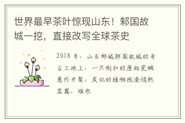 世界最早茶叶惊现山东！邾国故城一挖，直接改写全球茶史