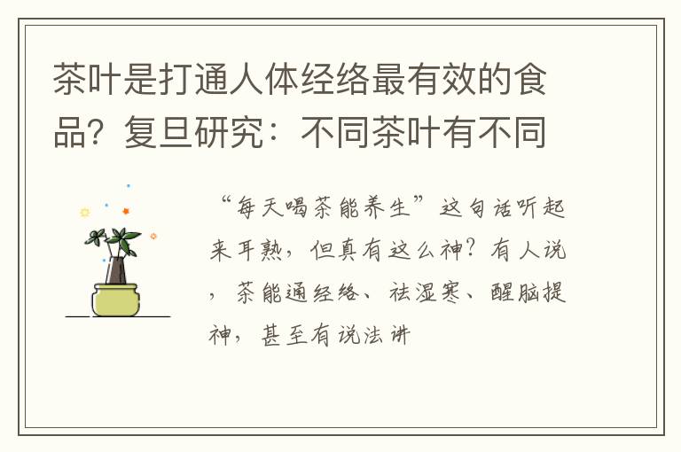 茶叶是打通人体经络最有效的食品？复旦研究：不同茶叶有不同归经