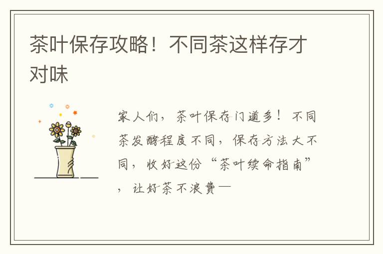 茶叶保存攻略！不同茶这样存才对味
