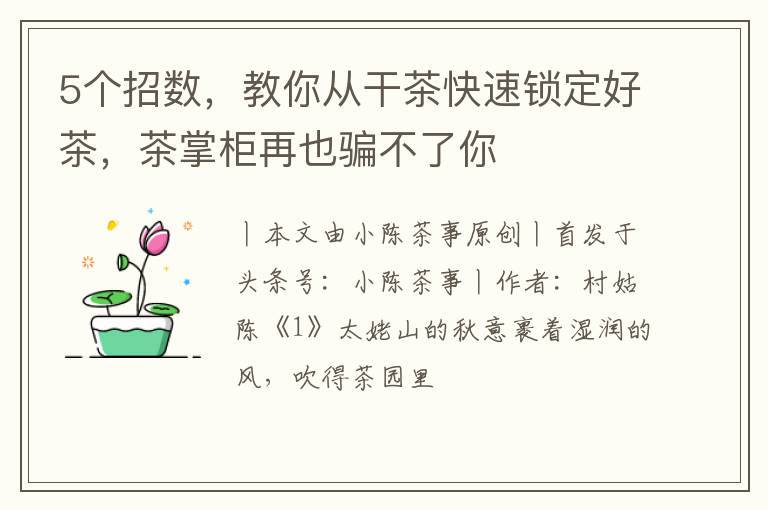 5个招数，教你从干茶快速锁定好茶，茶掌柜再也骗不了你