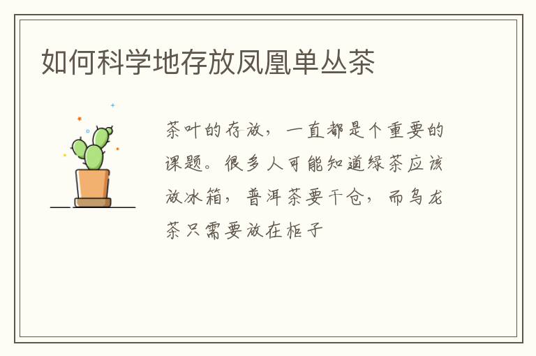 如何科学地存放凤凰单丛茶