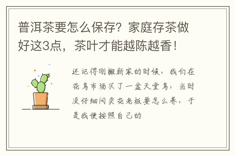 普洱茶要怎么保存？家庭存茶做好这3点，茶叶才能越陈越香！