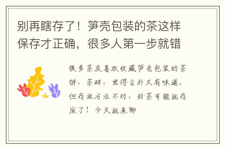 别再瞎存了！笋壳包装的茶这样保存才正确，很多人第一步就错了！