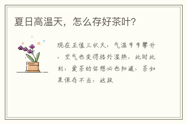 夏日高温天，怎么存好茶叶？