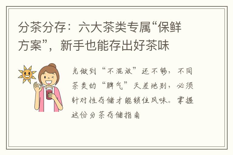 分茶分存:六大茶类专属“保鲜方案”,新手也能存出好茶味