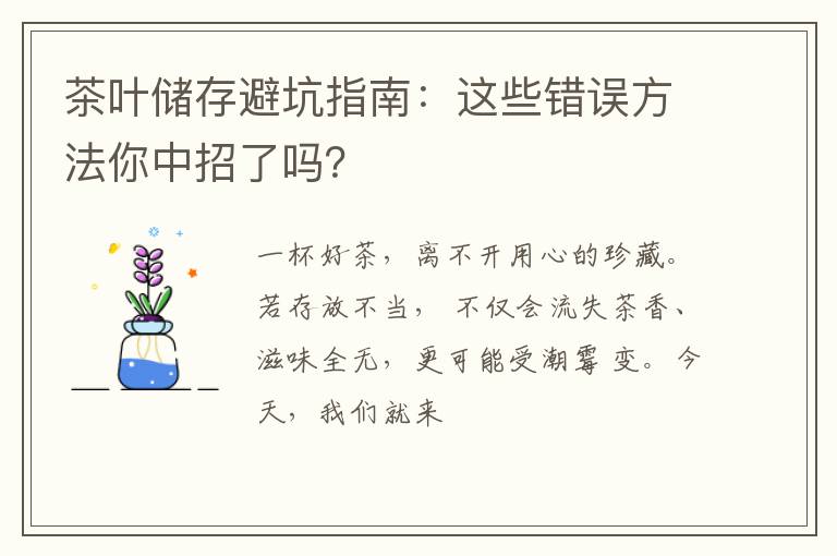 茶叶储存避坑指南：这些错误方法你中招了吗？