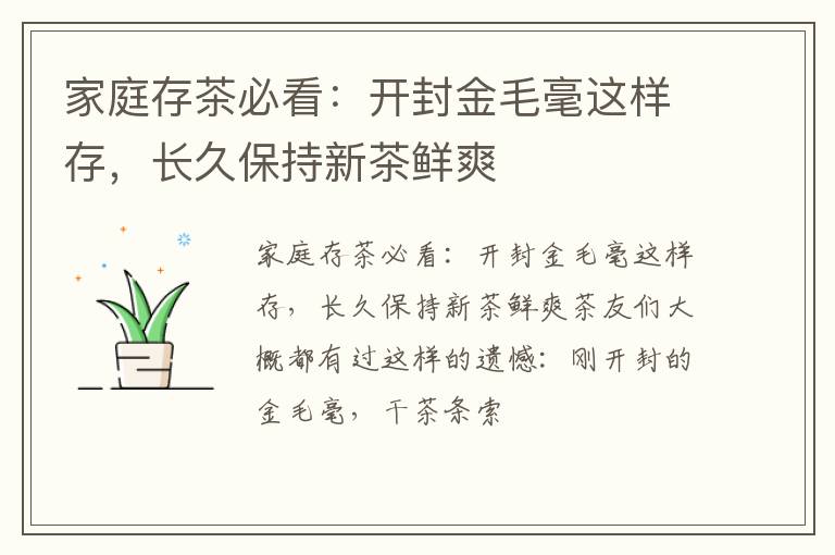 家庭存茶必看:开封金毛毫这样存,长久保持新茶鲜爽