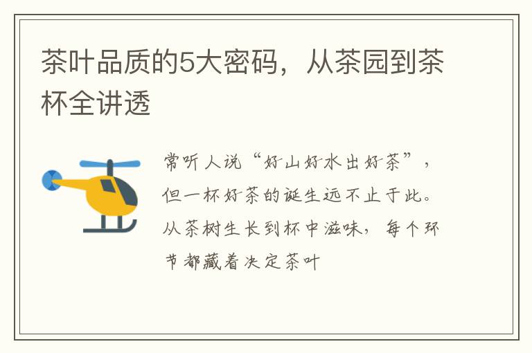 茶叶品质的5大密码，从茶园到茶杯全讲透