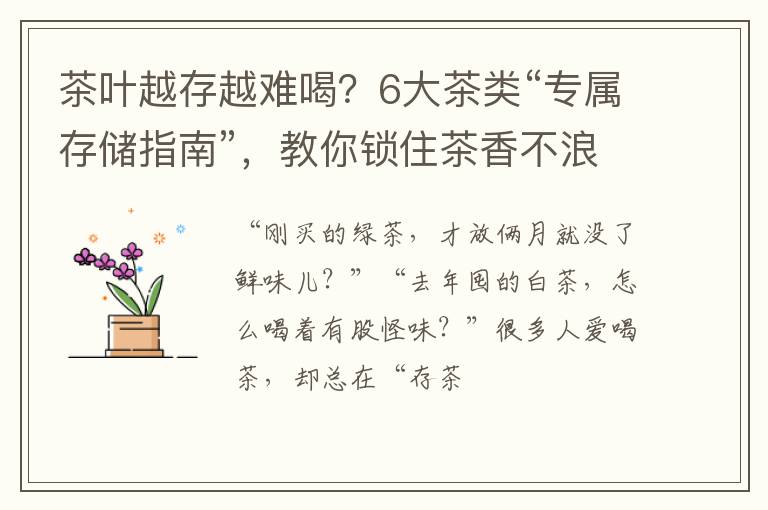 茶叶越存越难喝？6大茶类“专属存储指南”，教你锁住茶香不浪费