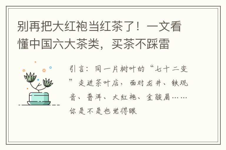别再把大红袍当红茶了！一文看懂中国六大茶类，买茶不踩雷