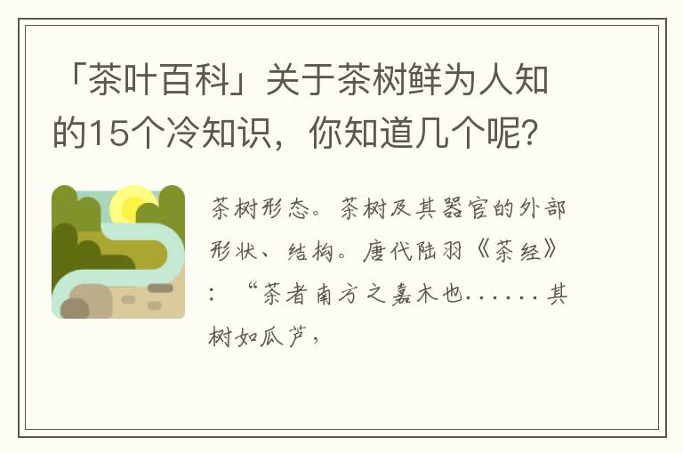 「茶叶百科」关于茶树鲜为人知的15个冷知识，你知道几个呢？