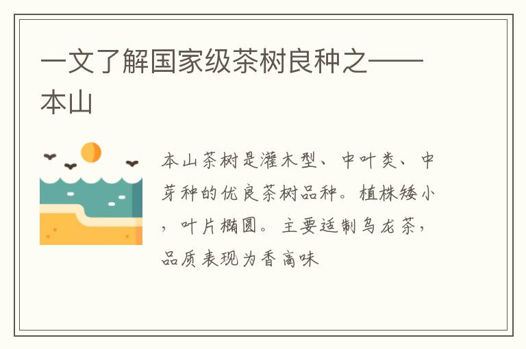 一文了解国家级茶树良种之——本山