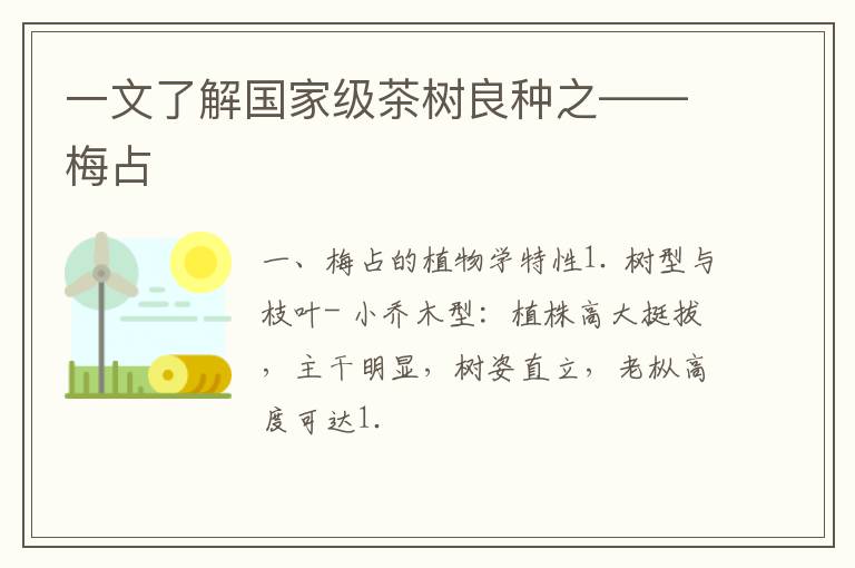 一文了解国家级茶树良种之——梅占