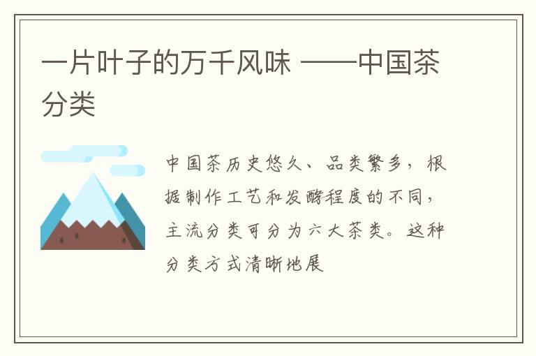 一片叶子的万千风味 ——中国茶分类