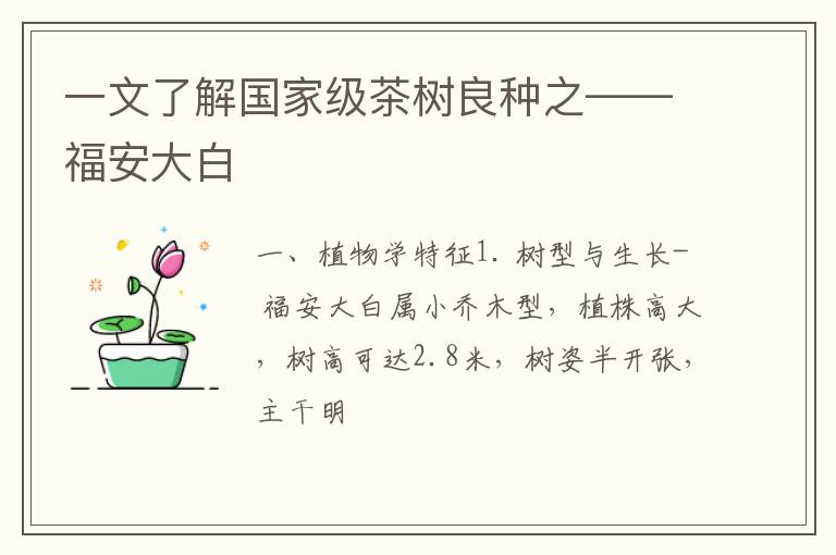 一文了解国家级茶树良种之——福安大白